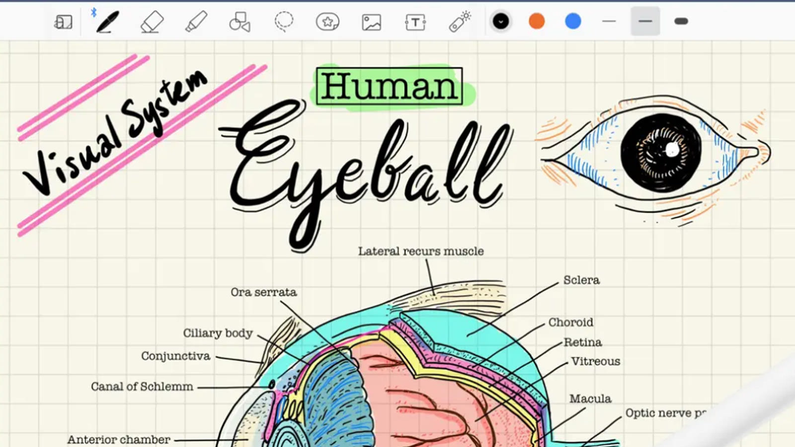 15 Best Note-taking Mobile Apps to Organize Your Thoughts (2023)